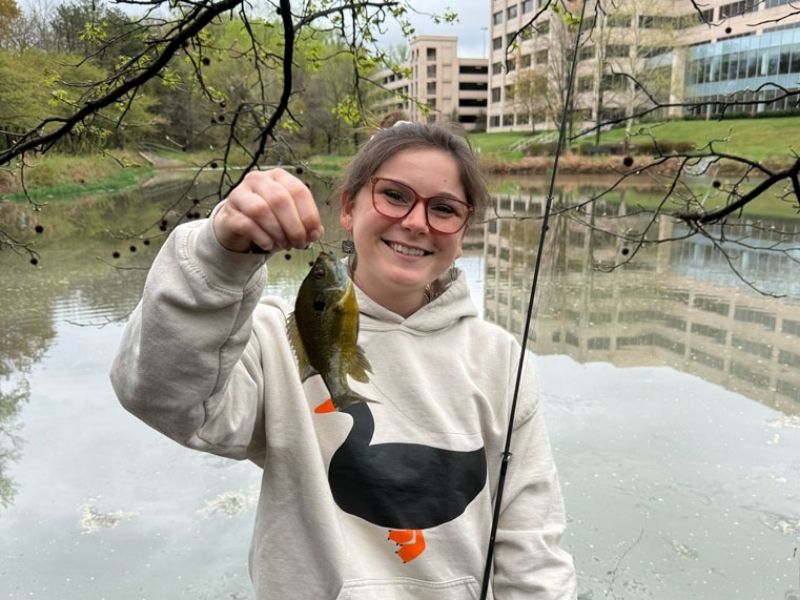 Bluegill fishing