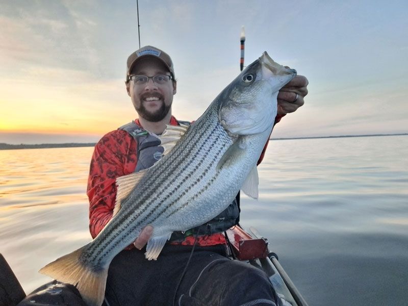 striped bass chesapeake bay fishing