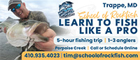 School of Rockfish