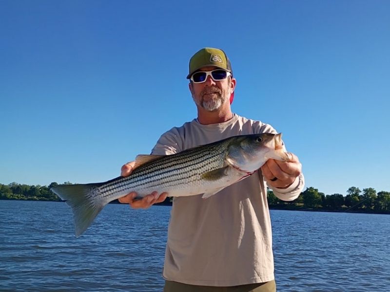 Striped bass fishing Chesapeake Bay