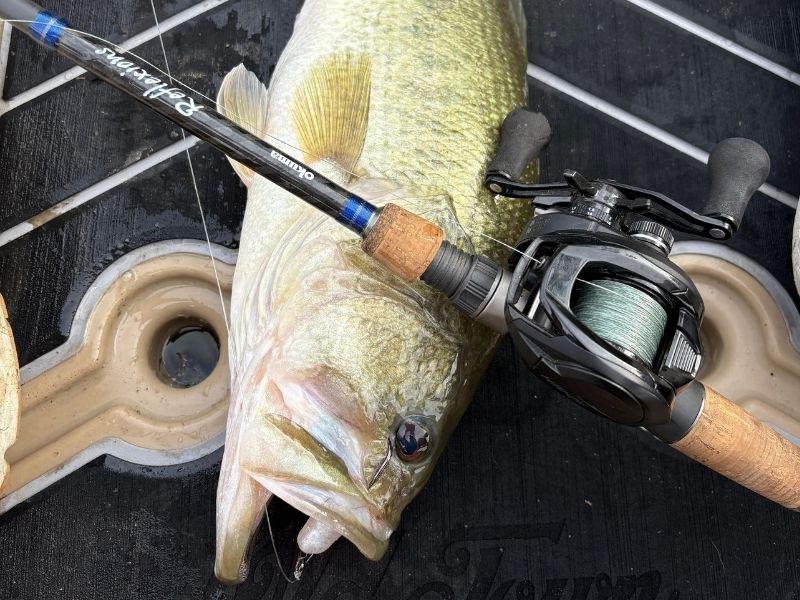 Bass fishing