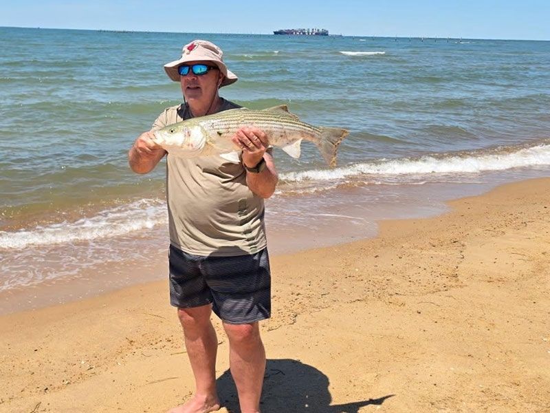 striped bass fishing chesapeake bay
