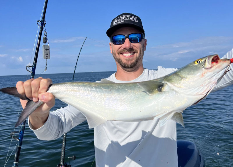 big bluefish caught on chesapeake bay