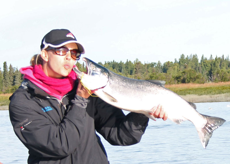 salmon fish