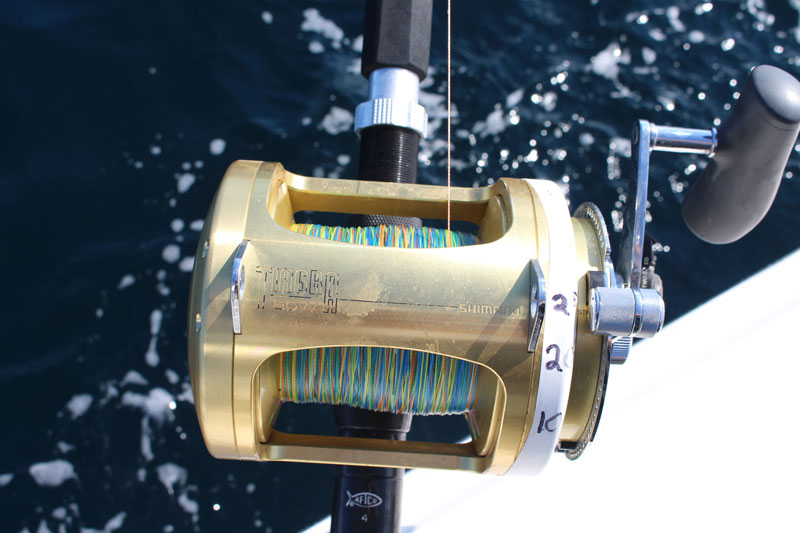 fishing reel with drag poundage marked