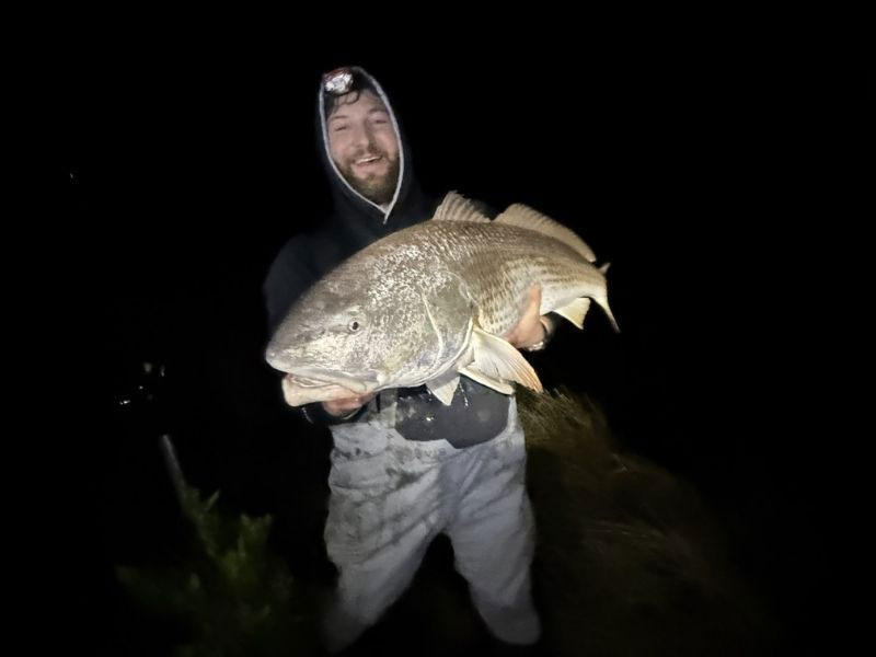 night fishing red drum