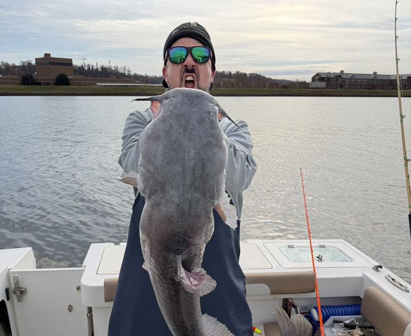 captain tim blanchard with a big potomac river catfish