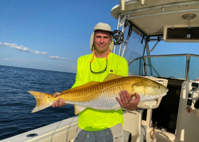 beautiful redfish