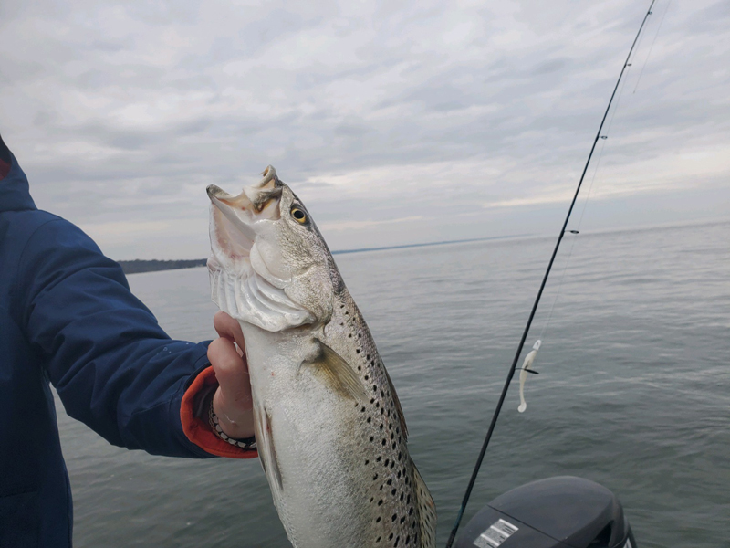 fishing the tangier
