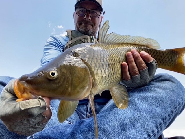 fly fishing for carp
